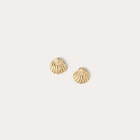 Baby Seashell Studs Chic Choice