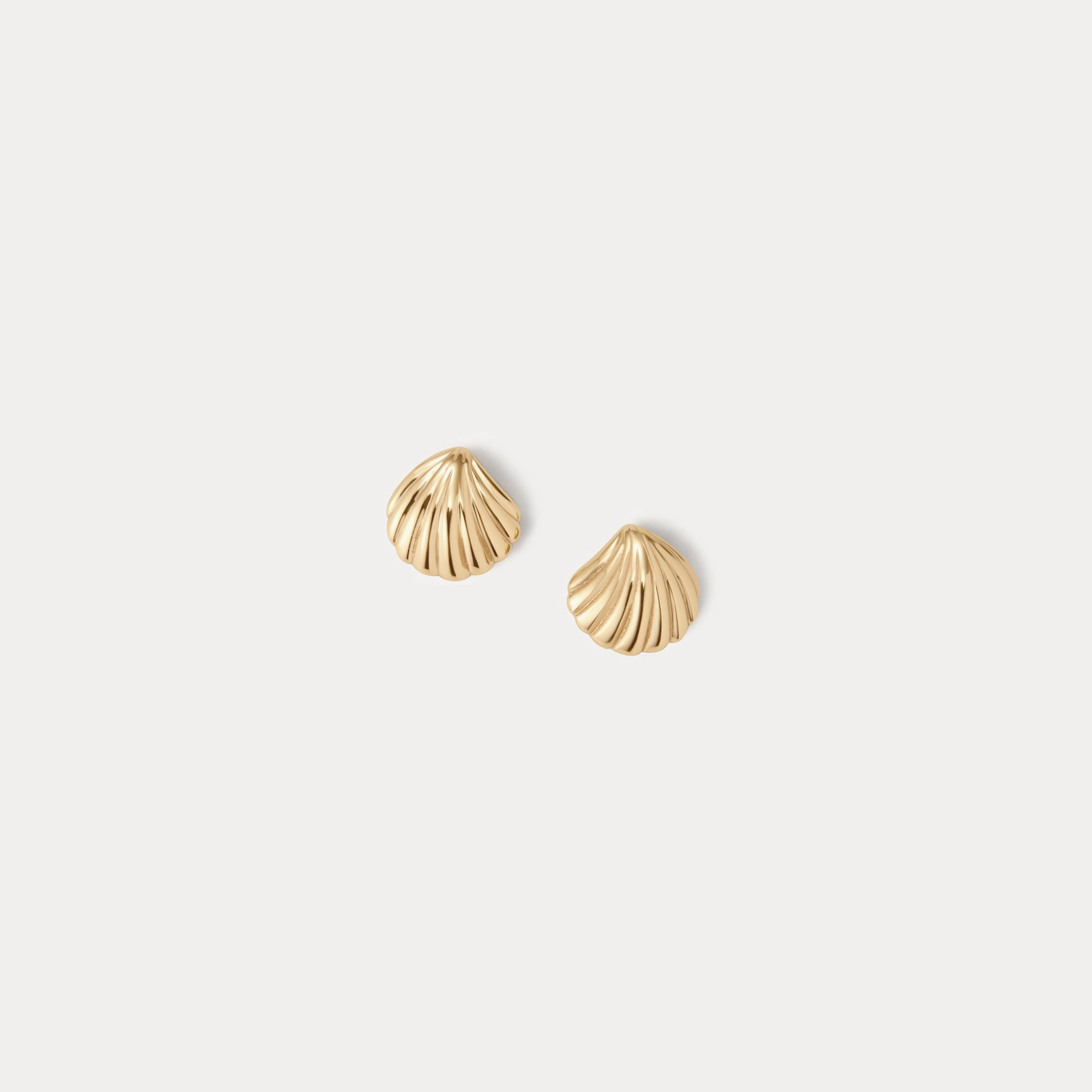 Baby Seashell Studs Chic Choice
