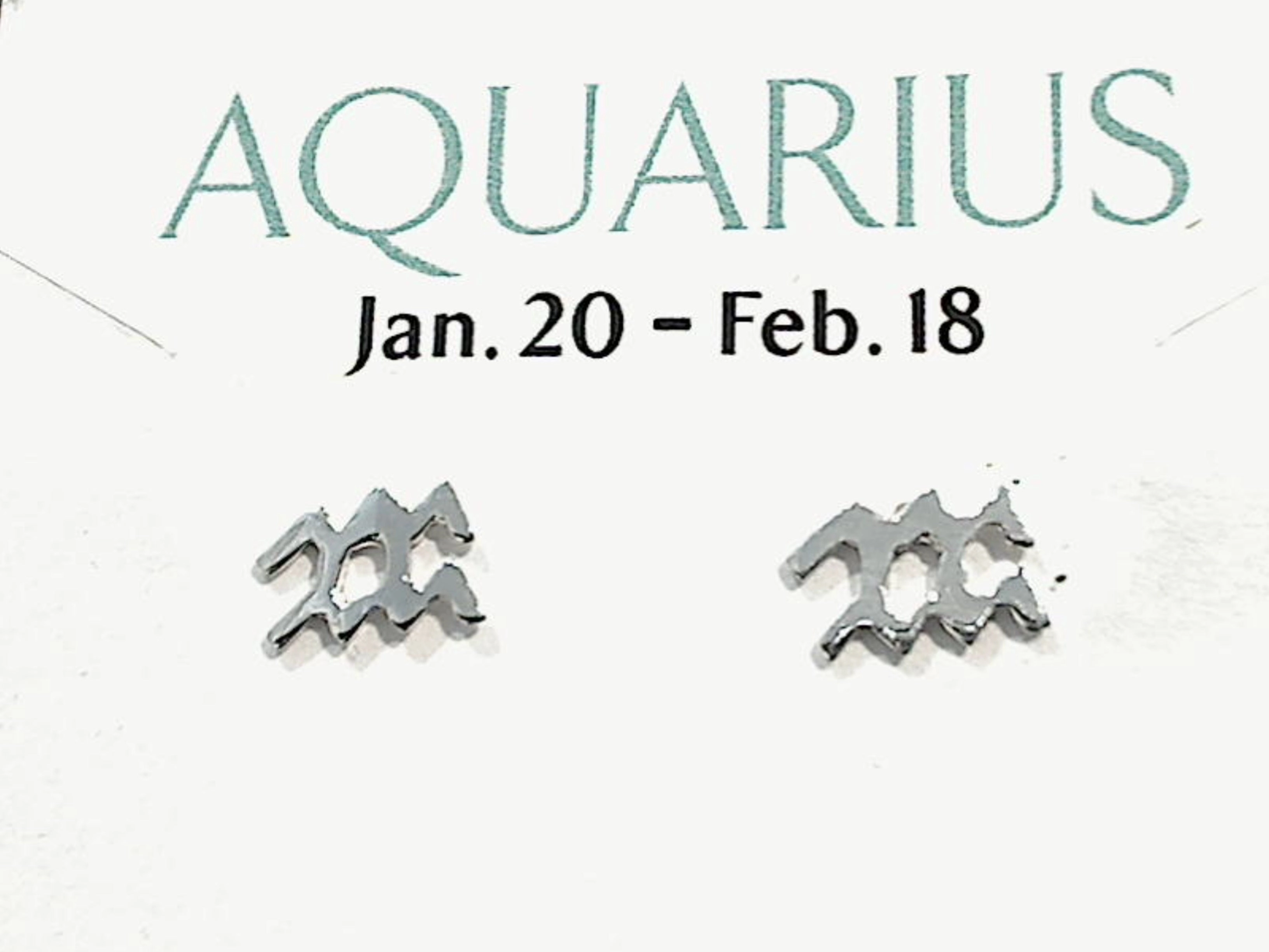 Stunning Adornment Sterling Silver Aquarius Zodiac Stud Earrings