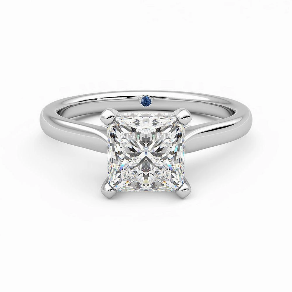 Refined Feature Princess Cut Moissanite Engagement Ring with Hidden Anniversary Stone and Secret Accents