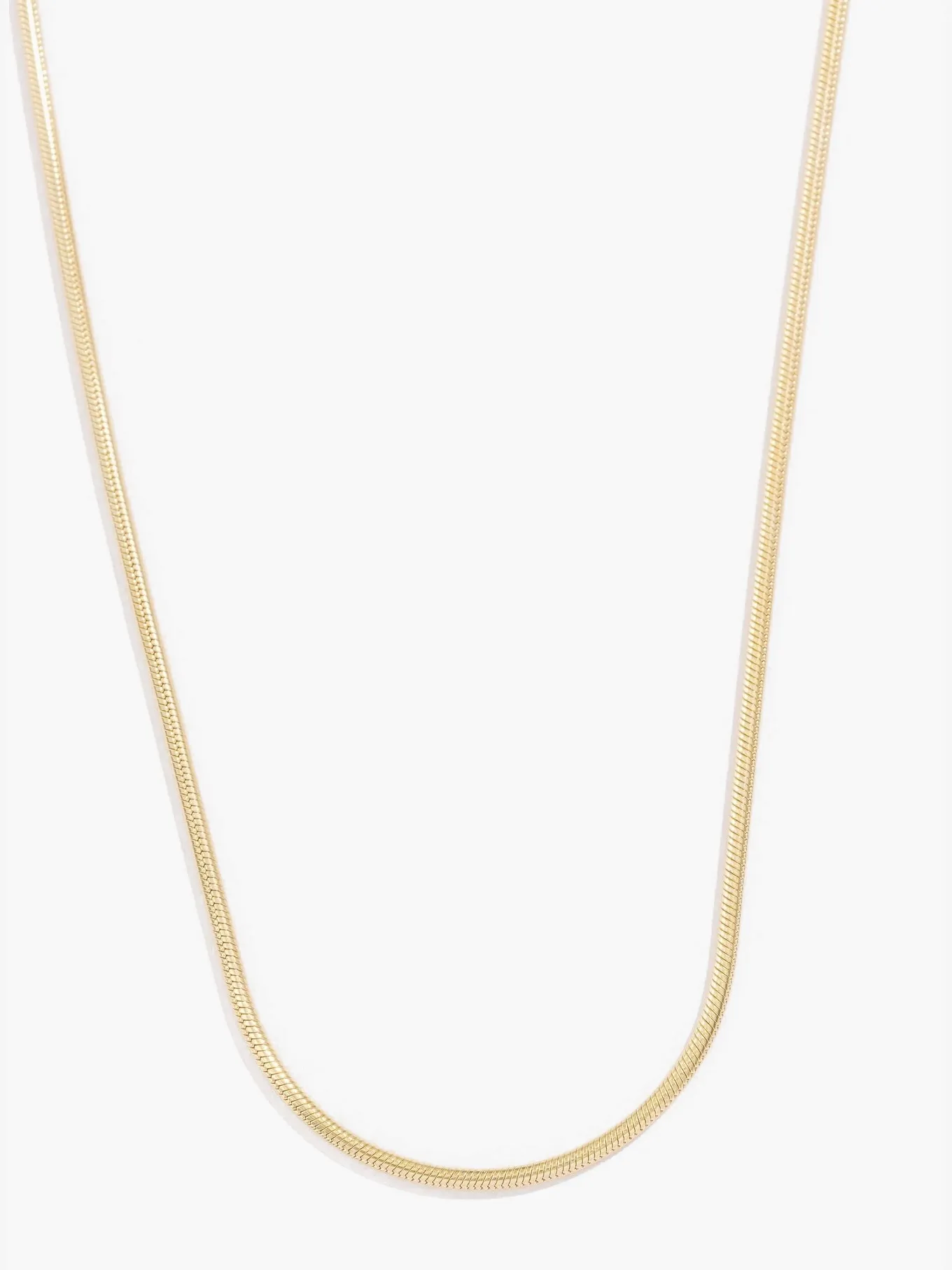 Metallic Sheen Accessory Anaconda Chain