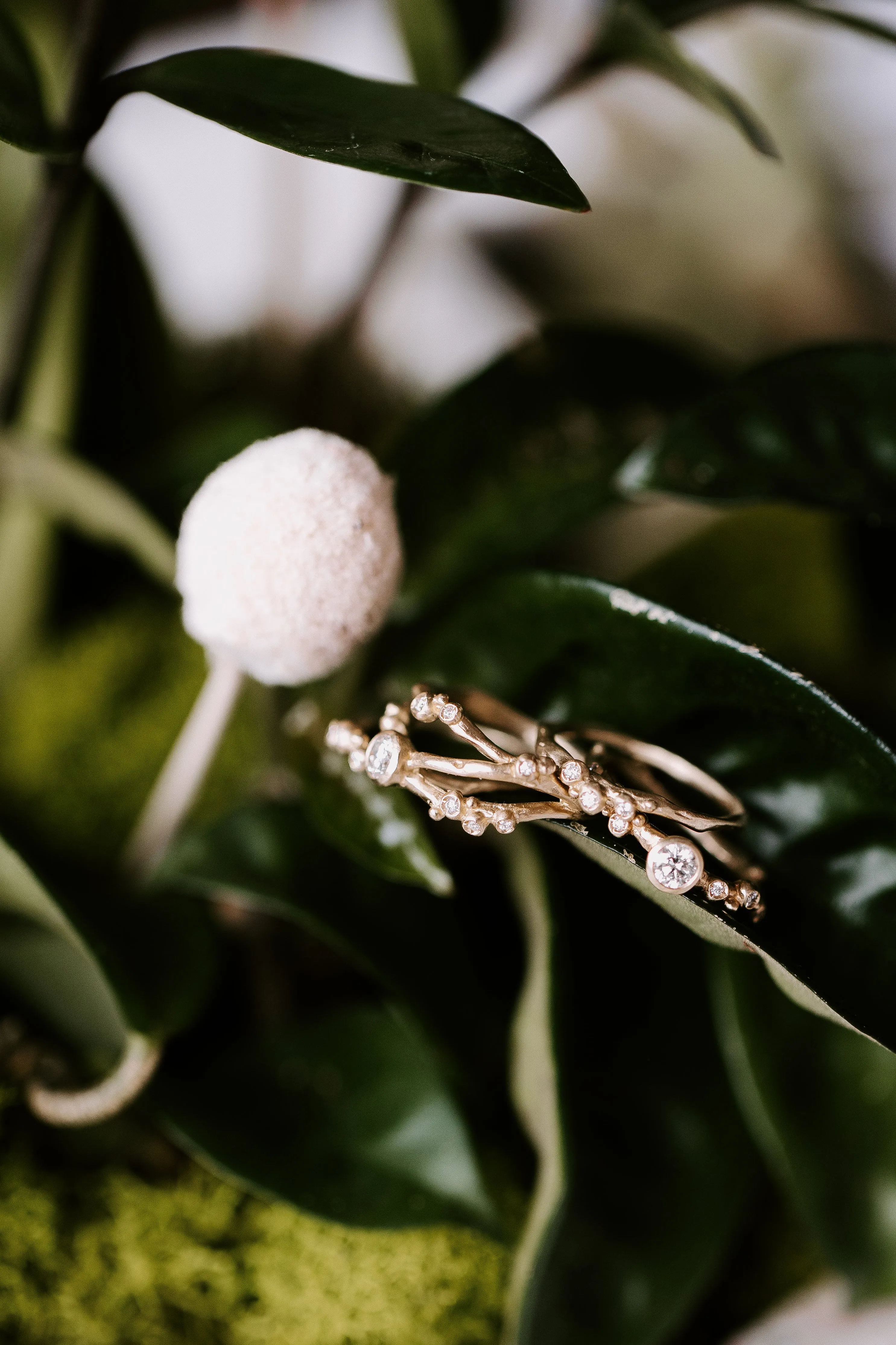 Encrusted 3 Branch Solitaire Diamond Ring - 14k Gold   Diamonds Classic Elegance