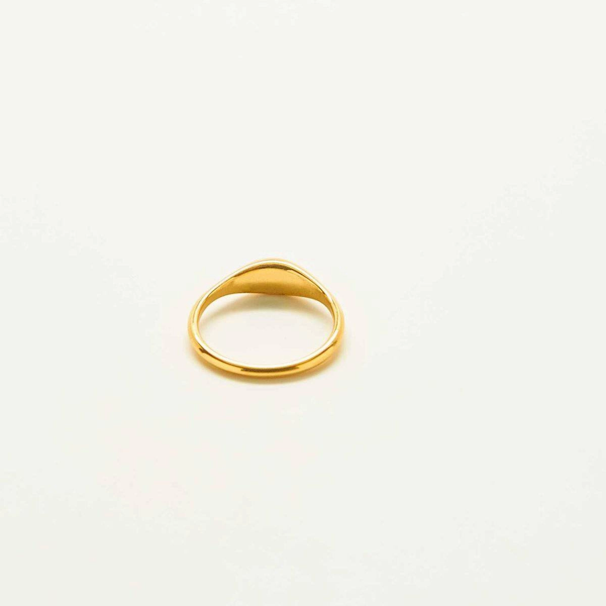 Mini Dome Signet Ring Clean Detail everyday elegance
