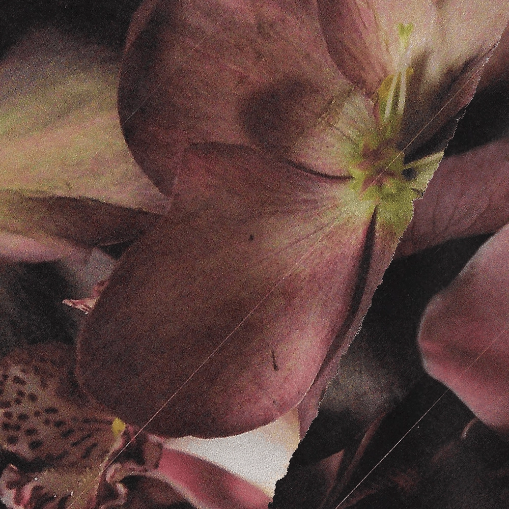 Glam Effect Formal Look Forest Emerald Leaflet Studs