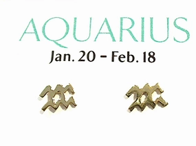 Gold Plated Sterling Aquarius Zodiac Stud Earrings Chic Embellishment