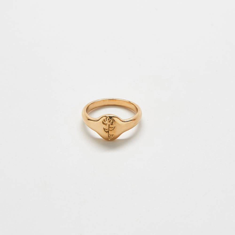 Gold Rose Signet Ring Gleaming Glow