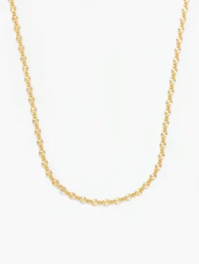 Ivy Chain For University