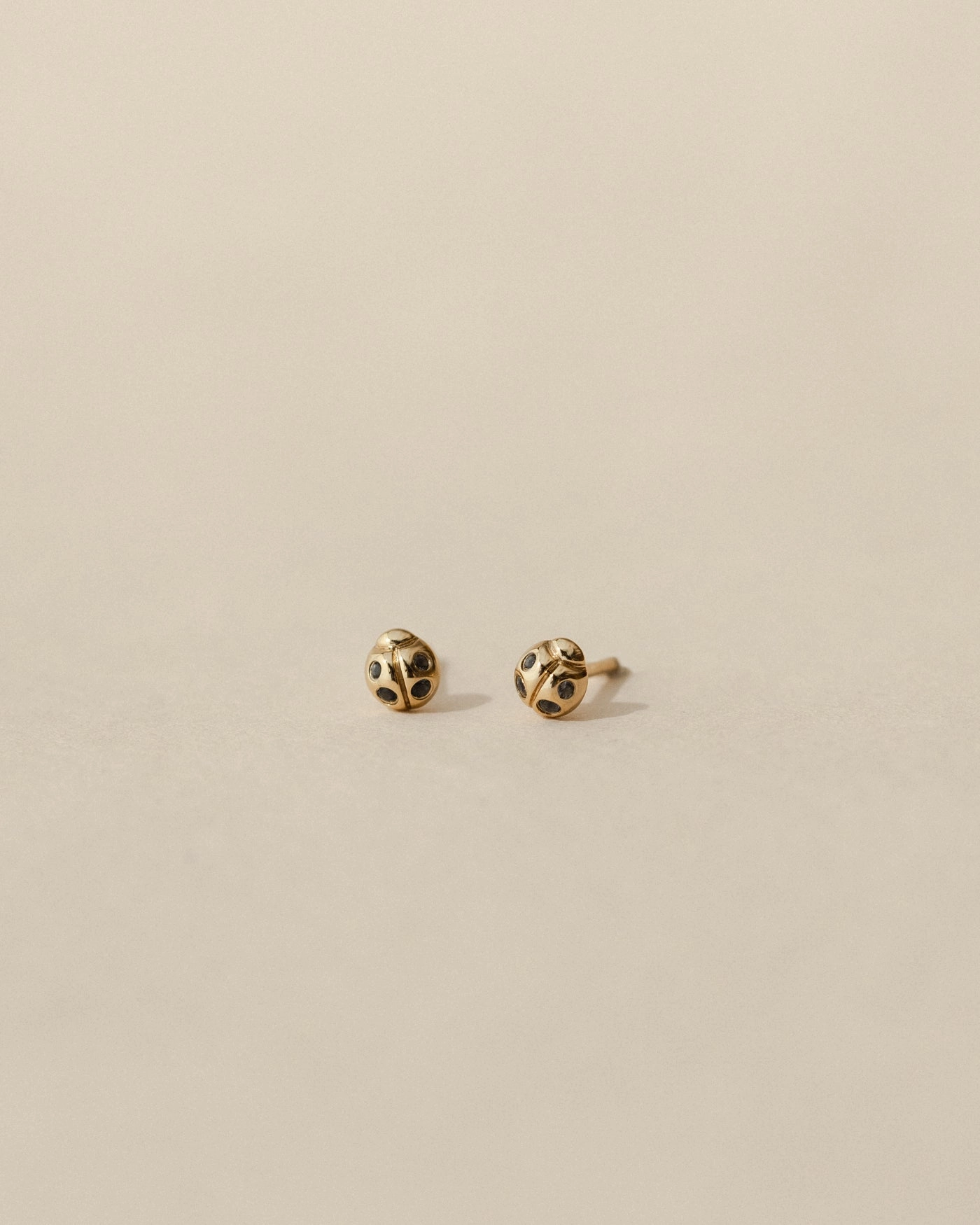 Neat Detail Ladybug Studs