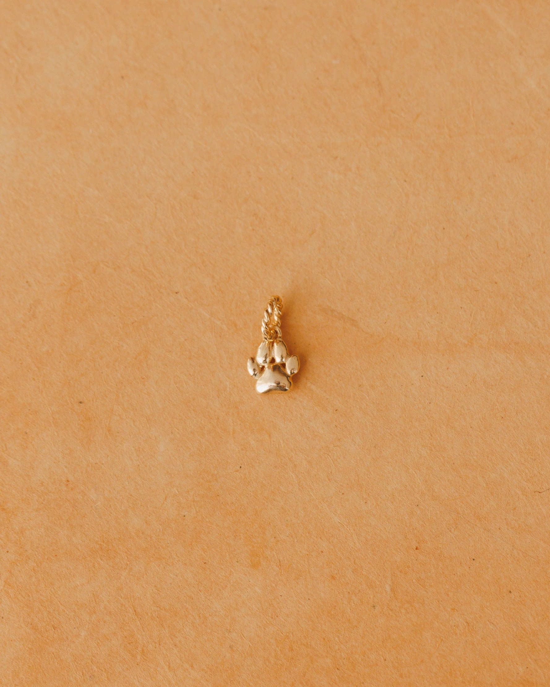 Puppy Paw Charm Daily Classic