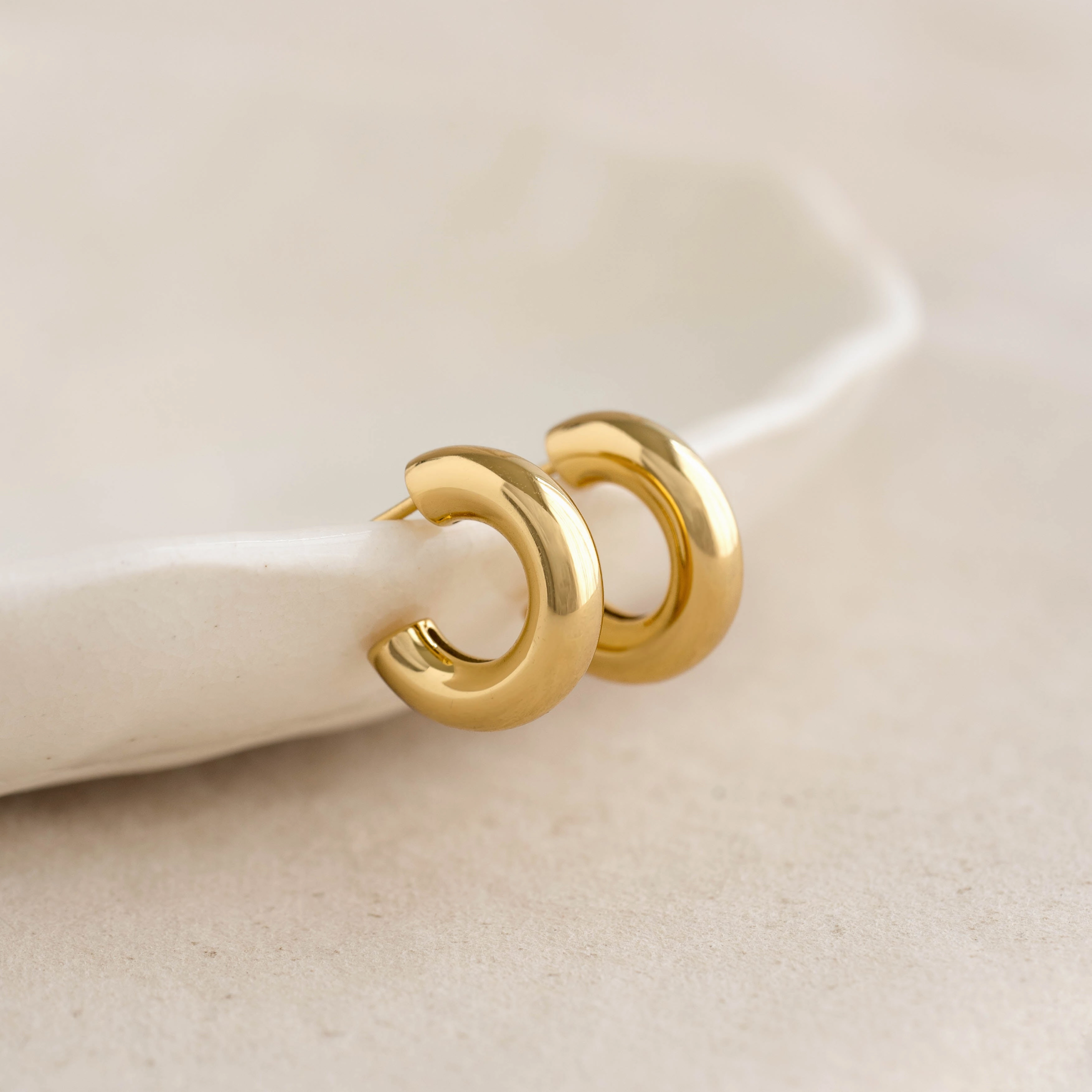 Pretty Touch Seasonal Gift Chunky Huggie Hoop Earrings - Giulia