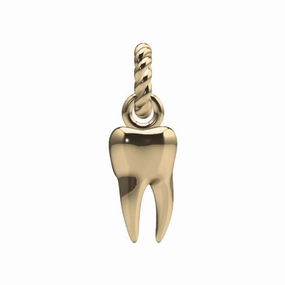 Tooth Charm Elegant Feel
