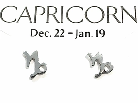 Daytime Accent Sterling Silver Capricorn Zodiac Stud Earrings