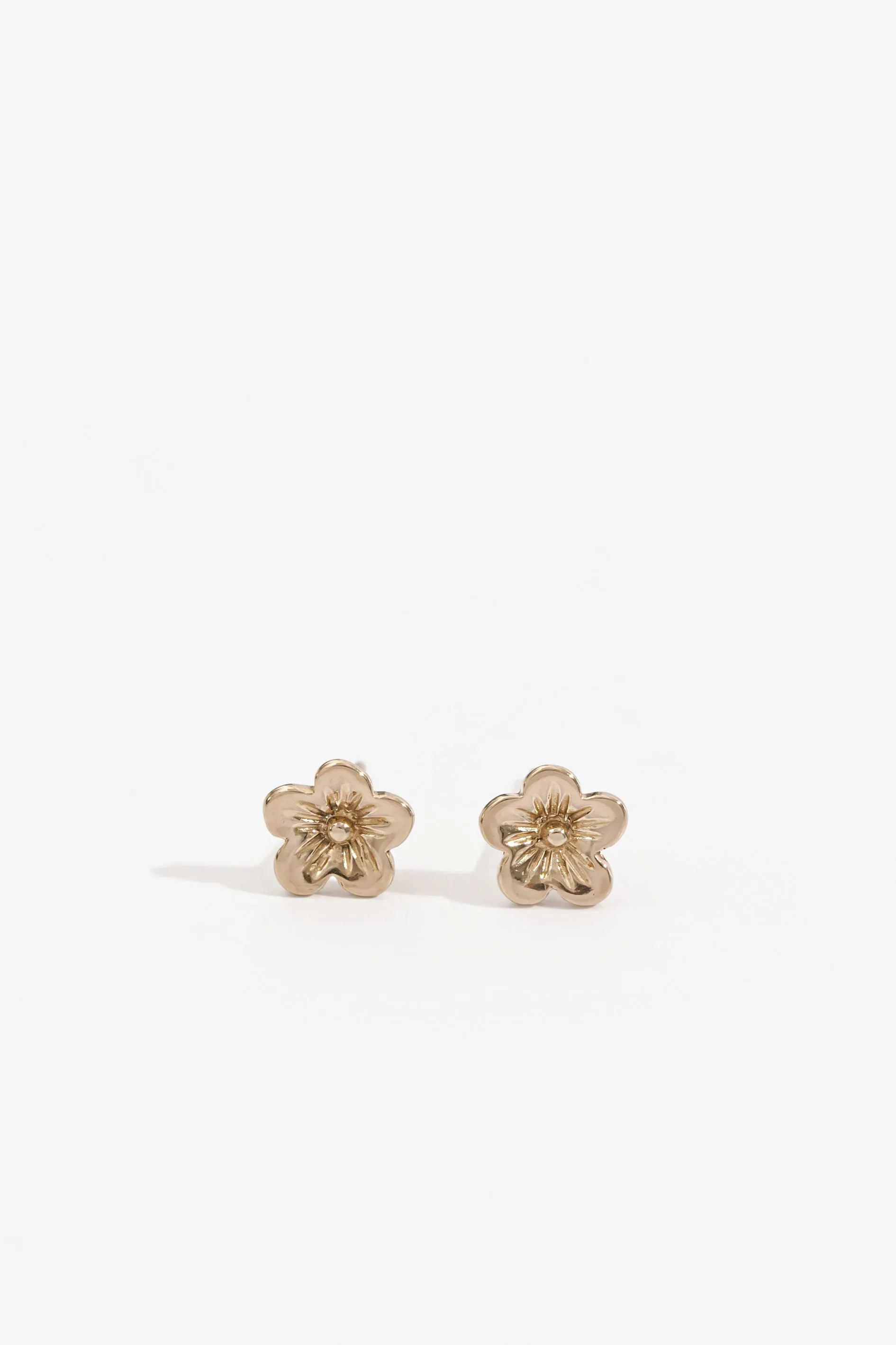 Pansy Studs Sophisticated Glow Sophisticated Shine