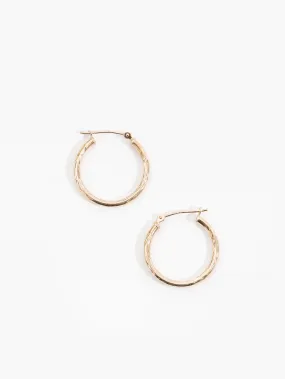 Modern pieces Dazzling Charm Lavina Hoops