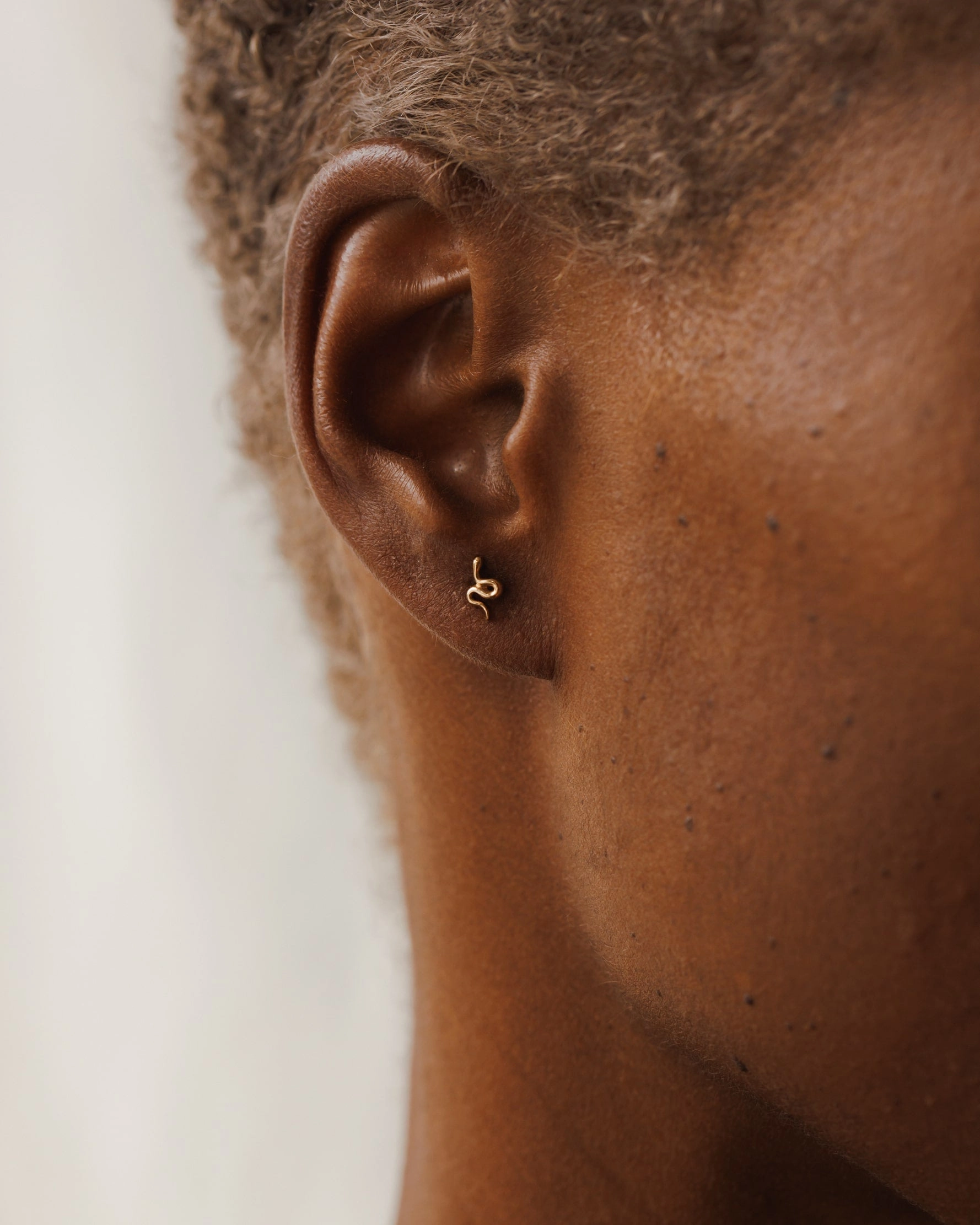 Night Out Snake Studs