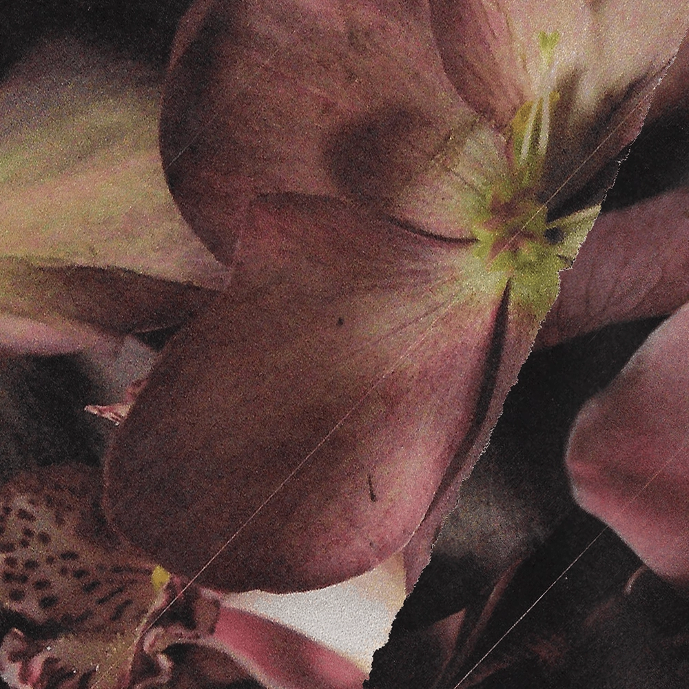 Weekend Outfit Sunlight Shine Midnight Blossom Charm