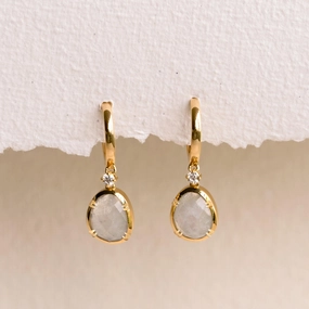 Modern Elegance Rainbow Moonstone Earrings - Victoria