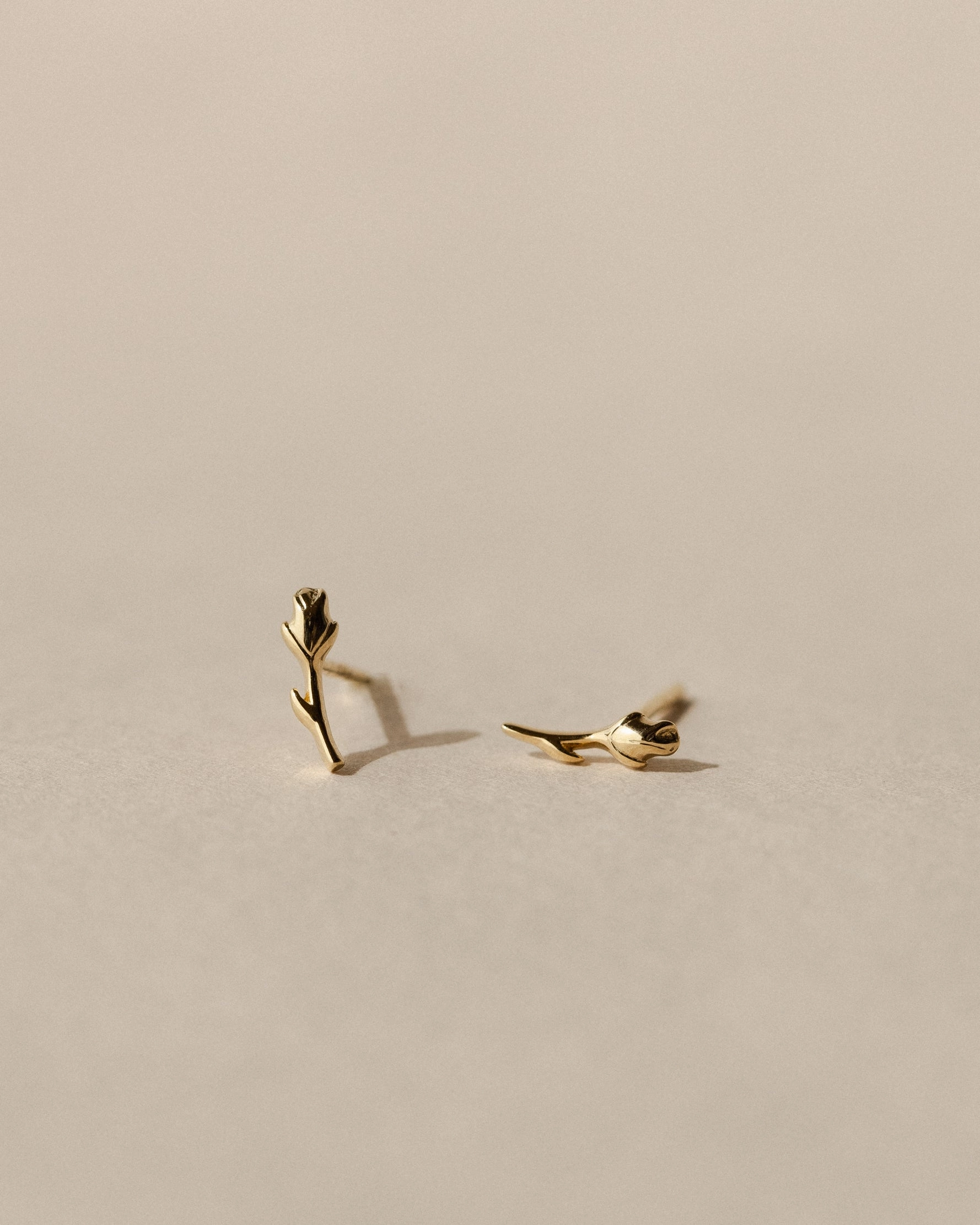 Rosebud Studs Glittering Details