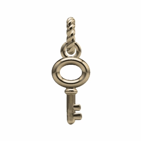 Bright Look Skeleton Key Charm