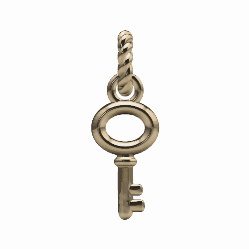 Bright Look Skeleton Key Charm