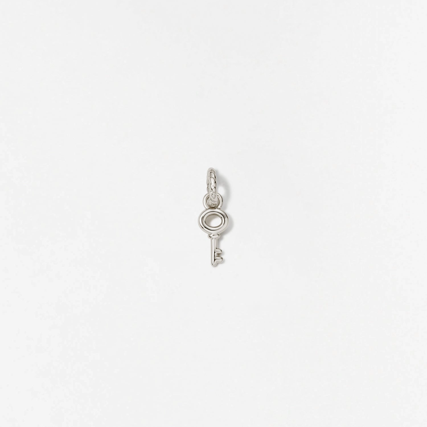 Skeleton Key Charm Timeless Accent