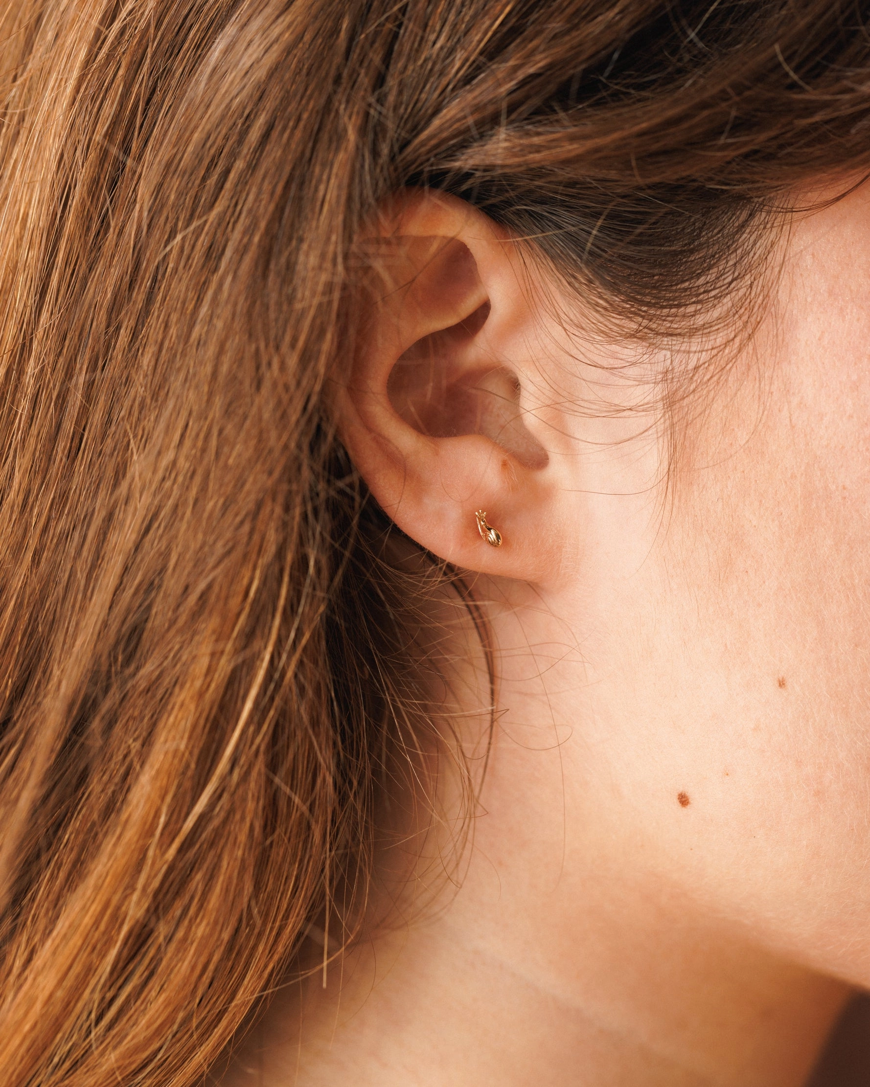 Snail Studs Versatile Accessory